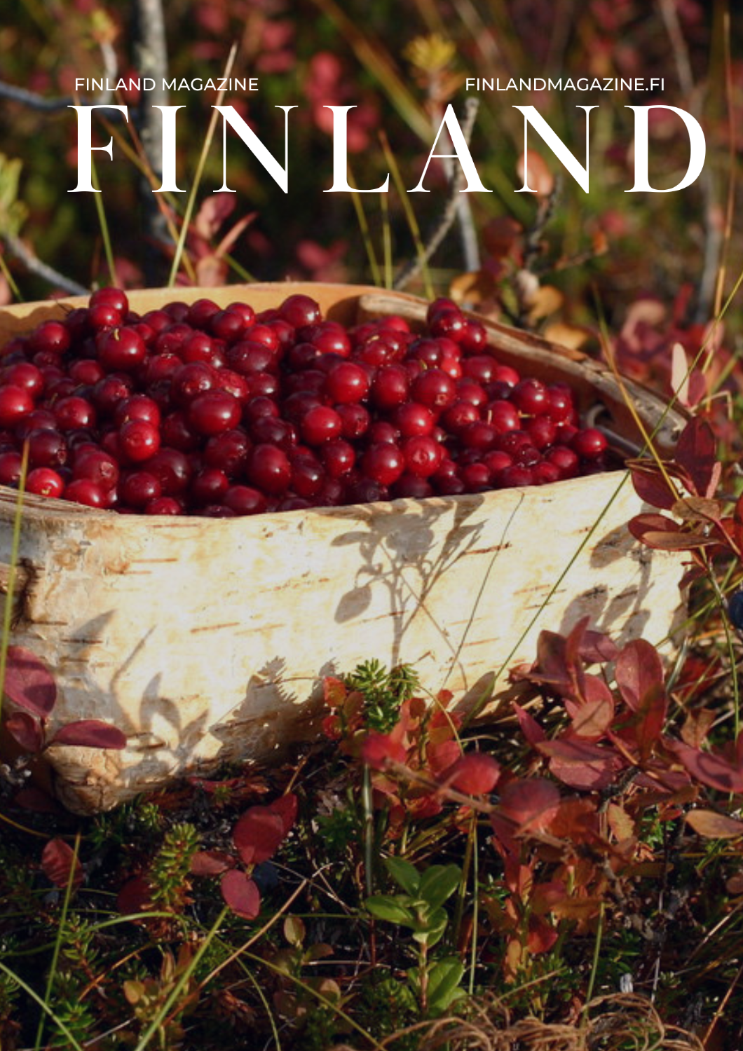 Berry & mushroom picking tour-Inari