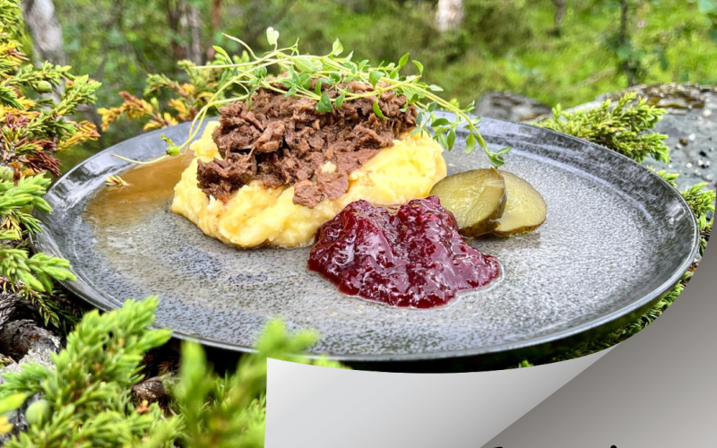 Taste of Lapland -Tundrea