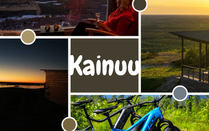 Tourism in Kainuu- ARCTIC GIANT BIRDHOUSE HOTEL
