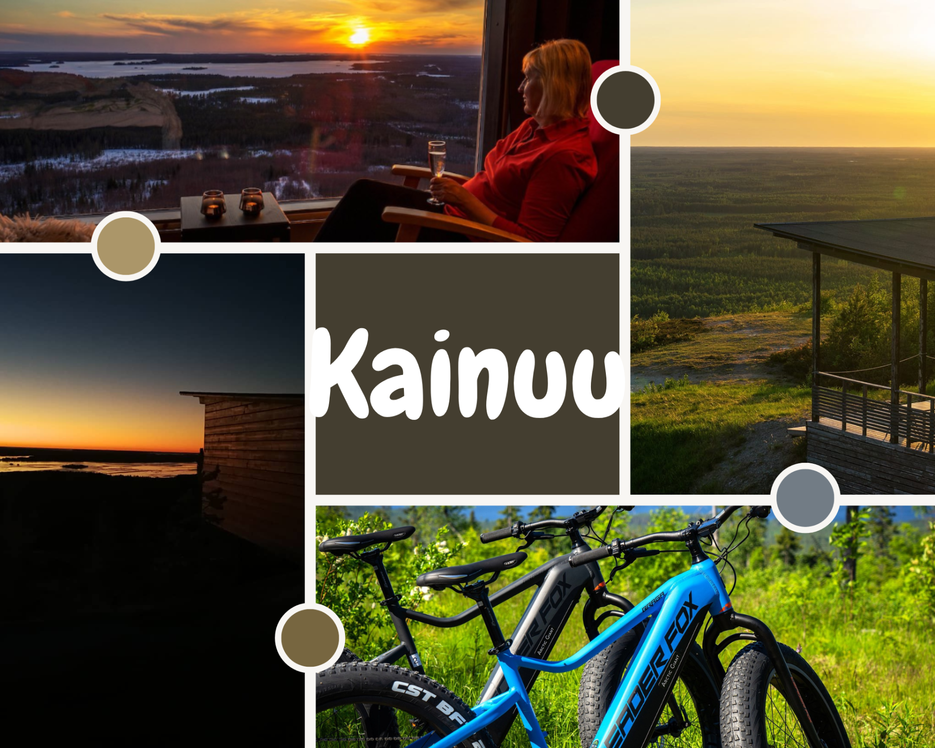 Tourism in Kainuu- ARCTIC GIANT BIRDHOUSE HOTEL