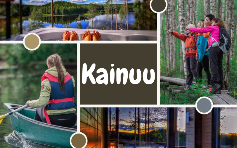 Accommodation in Kainuu-Lake Resort Paljakka