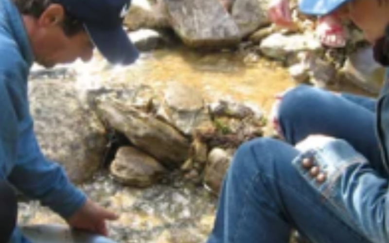 GOLD PANNING & SAMI CULTURE AT LEMMENJOKI