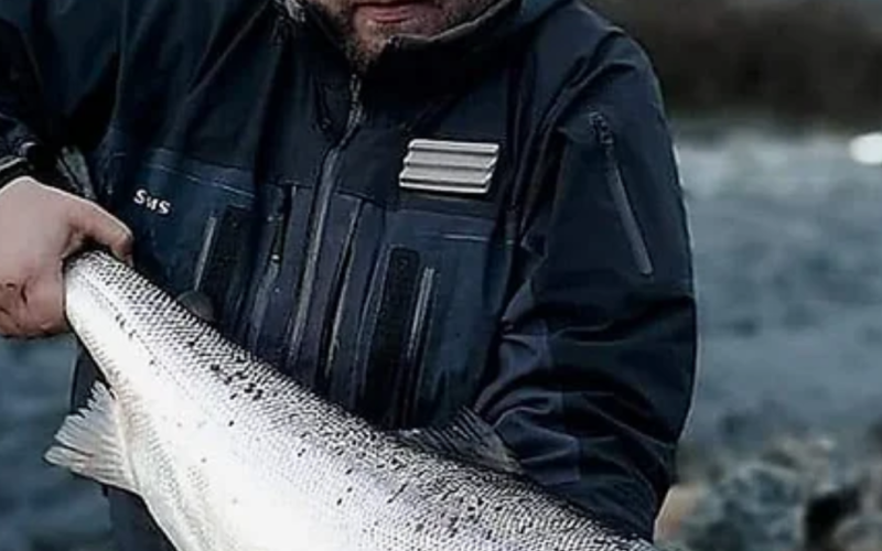 Arctic Tours