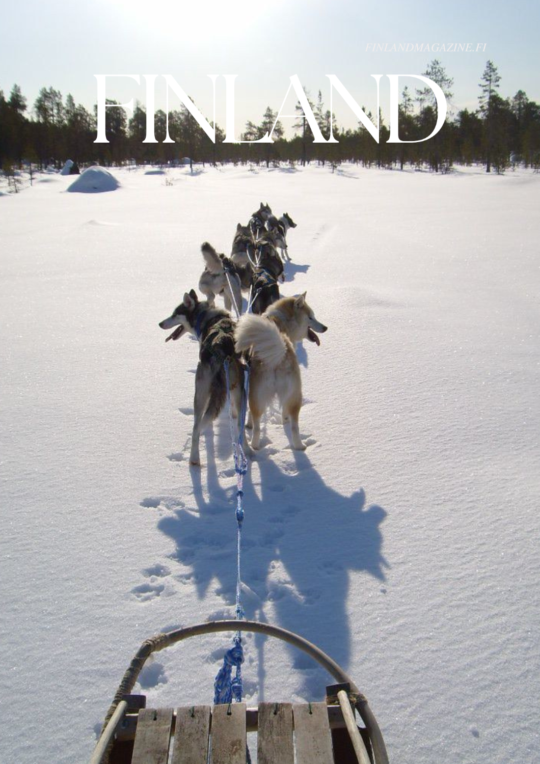 Husky safari-Inari