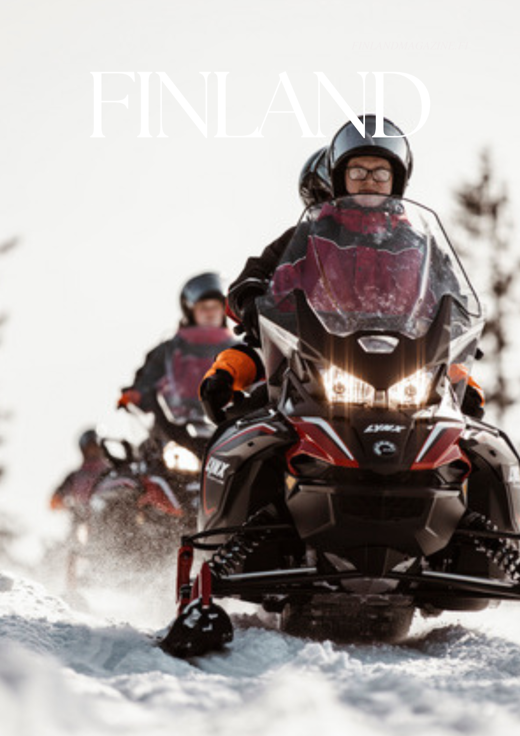 Kainuu Snowmobile Safaris-ARCTIC GIANT BIRDHOUSE HOTEL