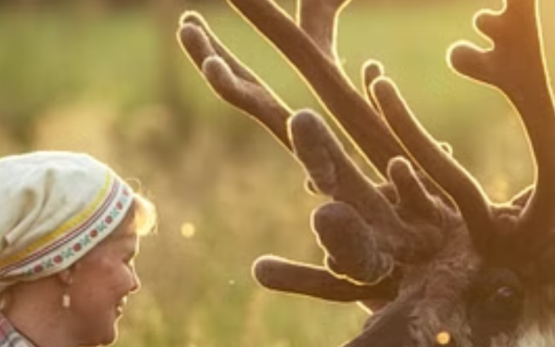 History of the Palosaari Reindeer Farm-Kuusamo