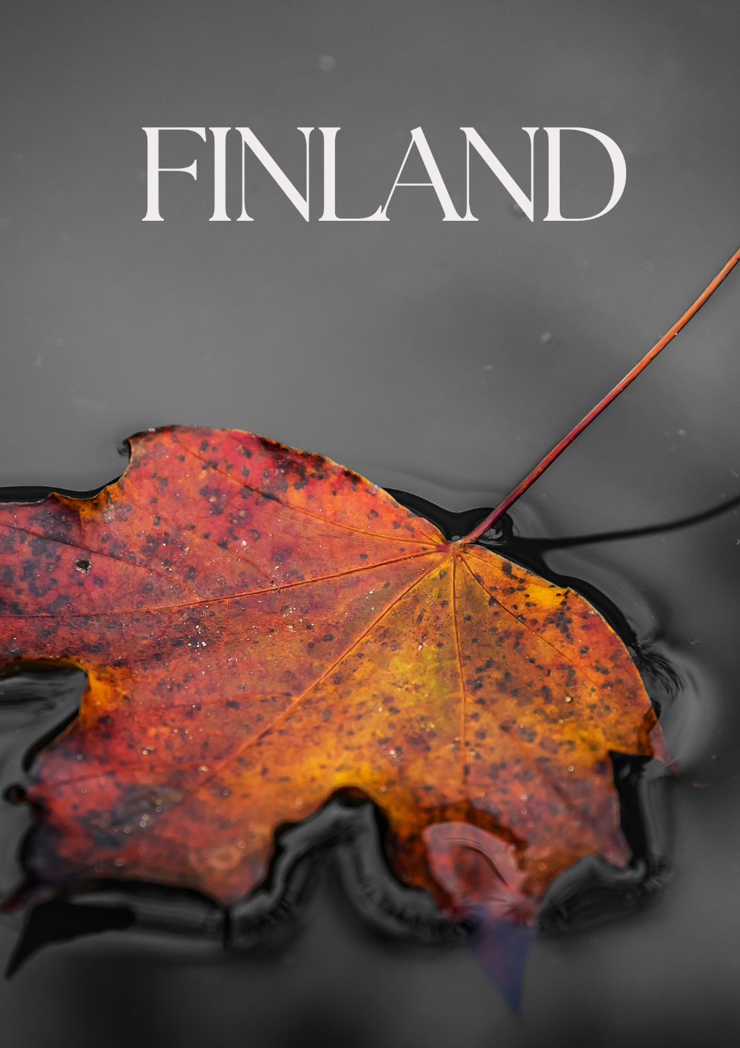 Autumn Adventure