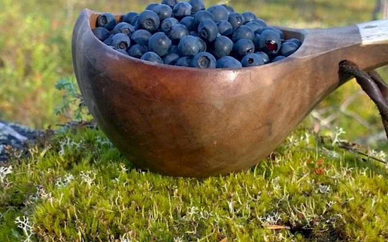 Kuksa 2024
