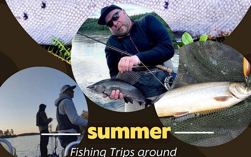 Fishing Package: Peak Season for Grayling and Taimen in the Heart of Lapland