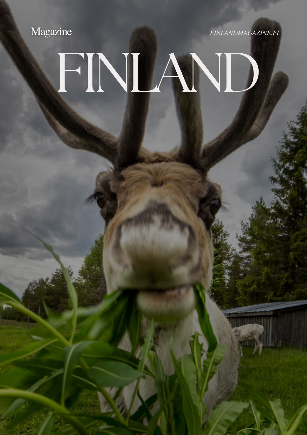 Reindeer and fishing farm