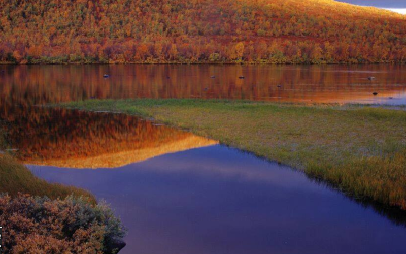 Autumn in Lapland 2024