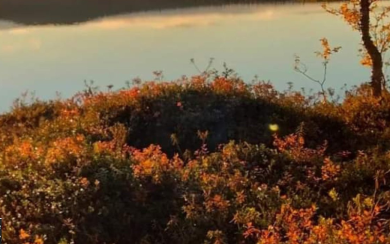 Autumn in Lapland 2024