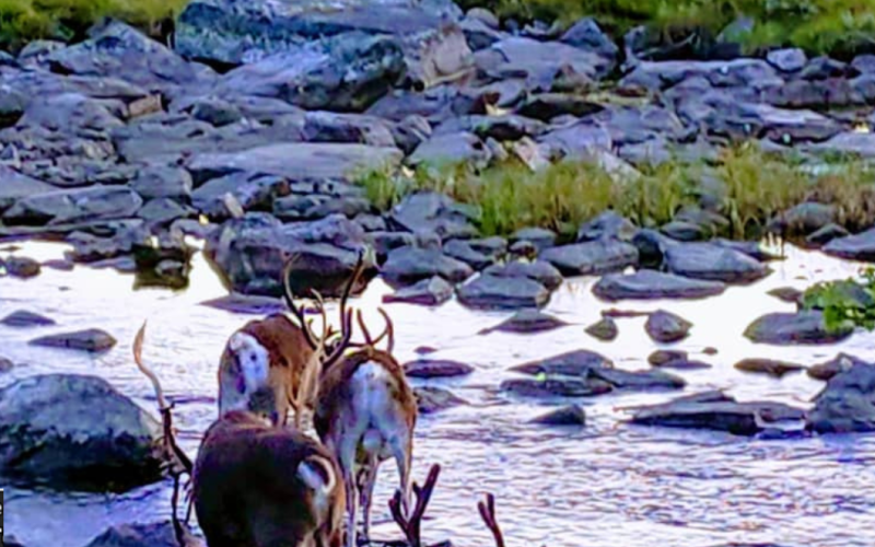 Autumn in Lapland -Kilpisjärvi