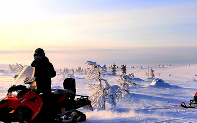 Snowmobile Tours 2024