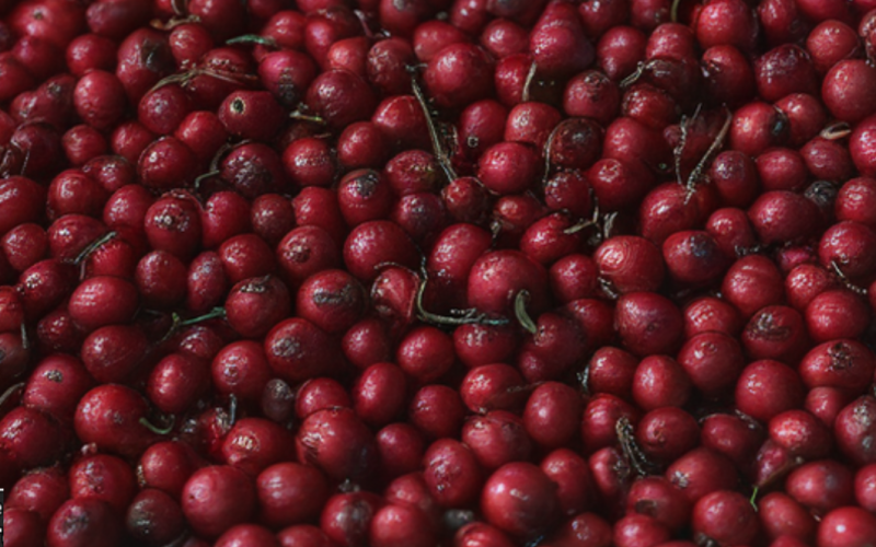 Lingonberry Pie