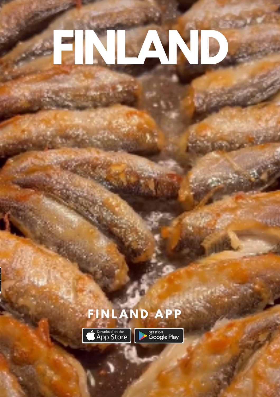 Wild Food from Finland-fried vendace