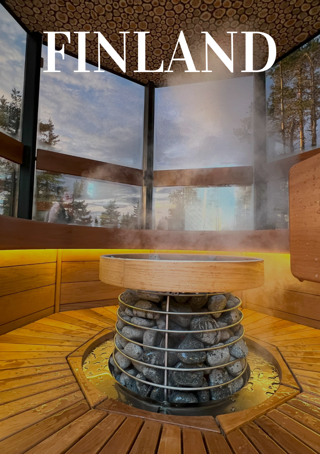 Arctic Giant Forest sauna & experience