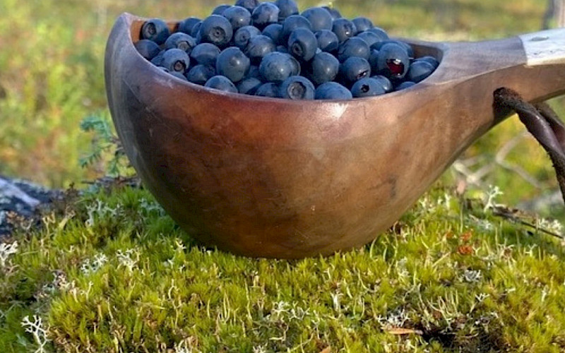 Kuksa 2025