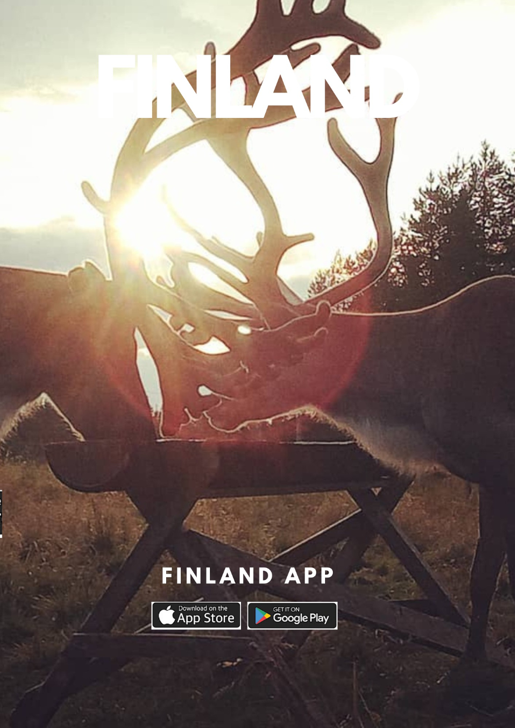 Kuusamo-Reindeer Farm summer mornings
