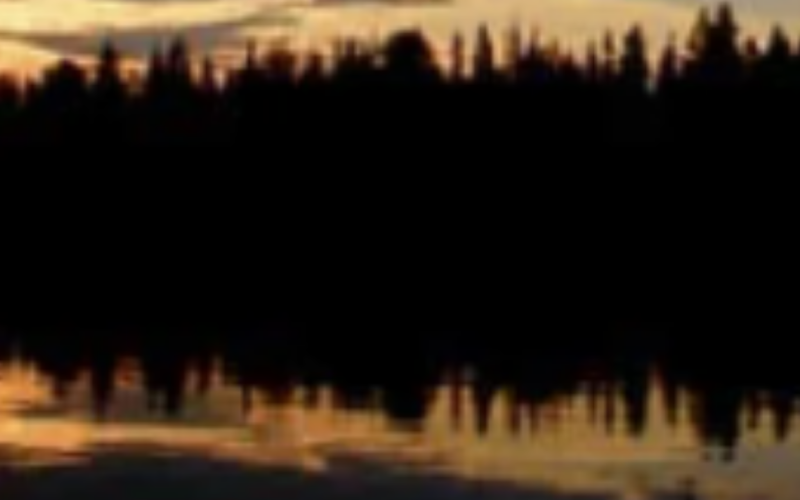 Kuusamo-Midnight Fishing Trip