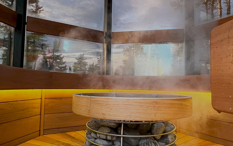 Arctic Giant Forest sauna & experience 2025