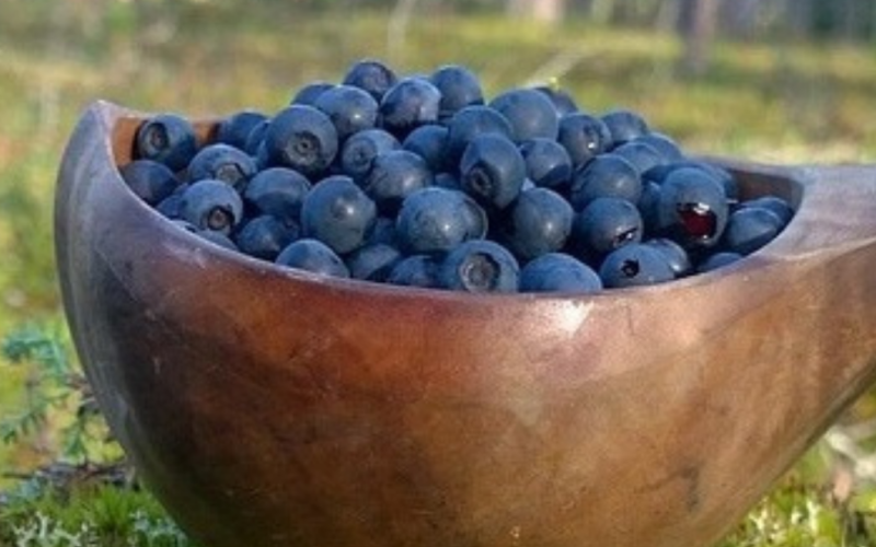 Kuksa & the Enchantment of Lapland’s Nature