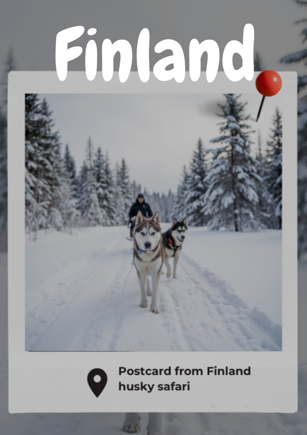 Finnish Winter with a Husky Safari
