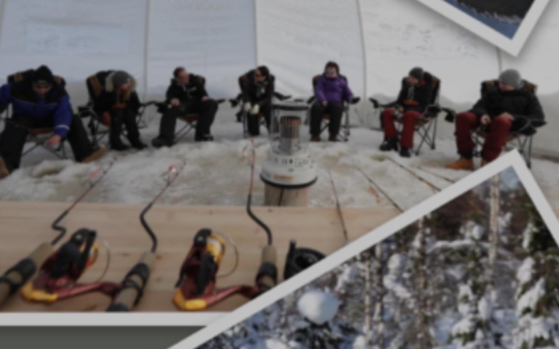 The Enchantment of Ice and Luxury