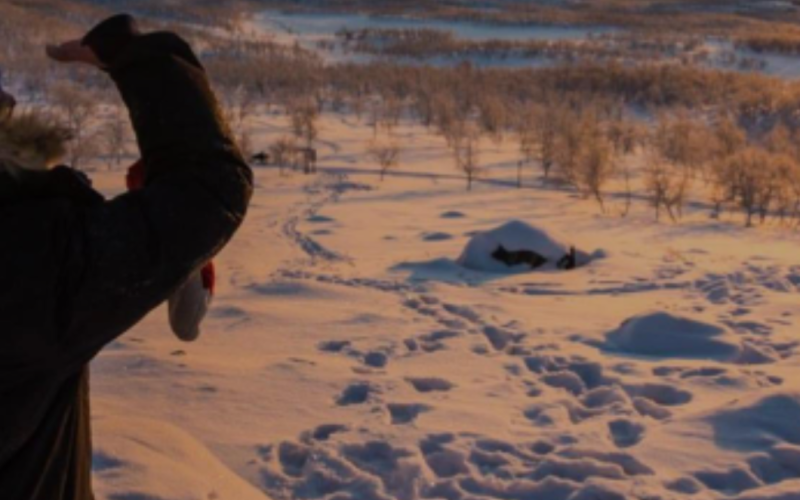 Tundra Adventure