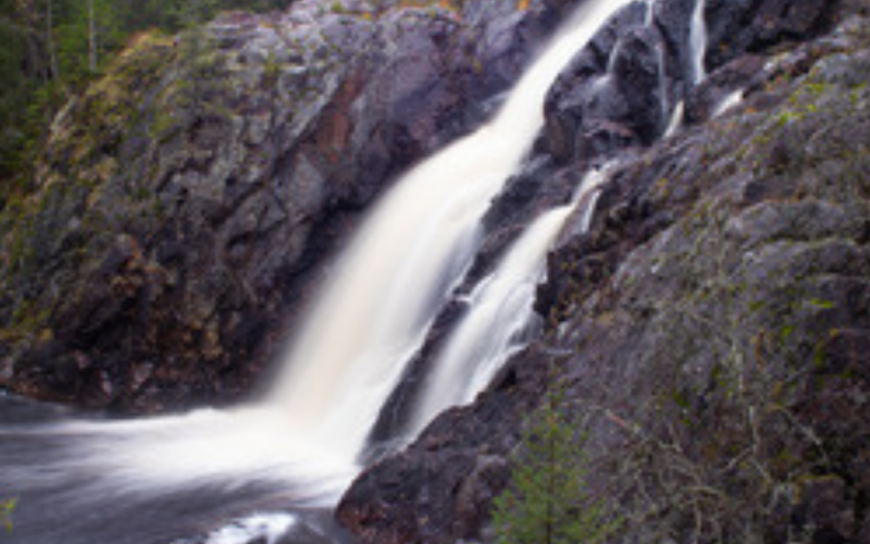 Kainuu Spring and Summer-Autumn 2026