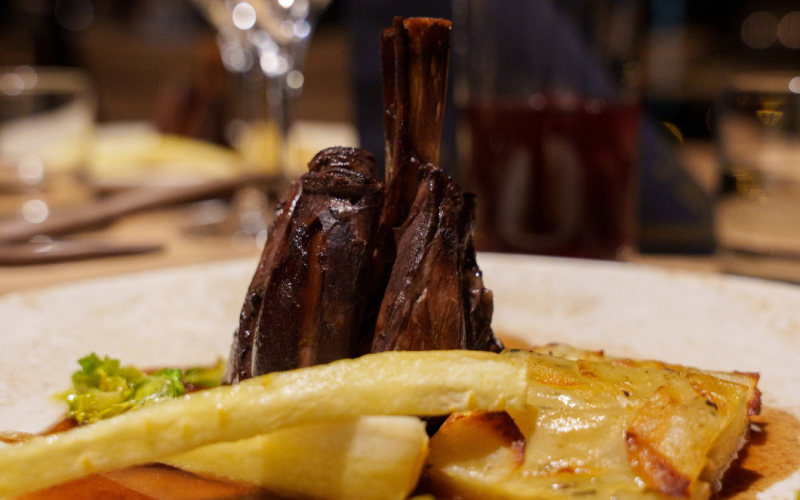The Bear – Gastronomy of Nature's Bounty