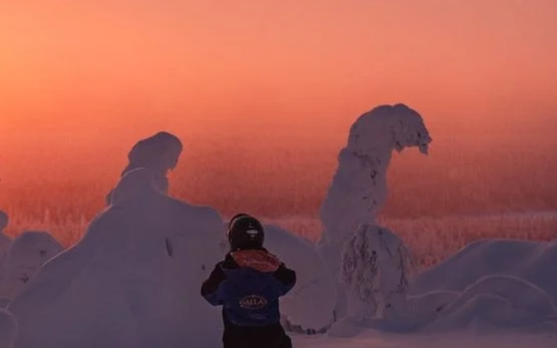 Authentic Eastern Lapland Calls